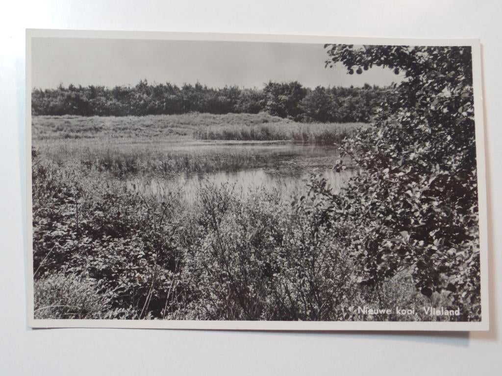 Vlieland 35, Verzamelen, Ansichtkaarten | Nederland, Verzenden, 1960 tot 1980, Ongelopen, Waddeneilanden