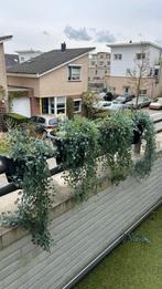 Balkon planten bakken, Ophalen, Kunststof, Gebruikt, Minder dan 30 cm