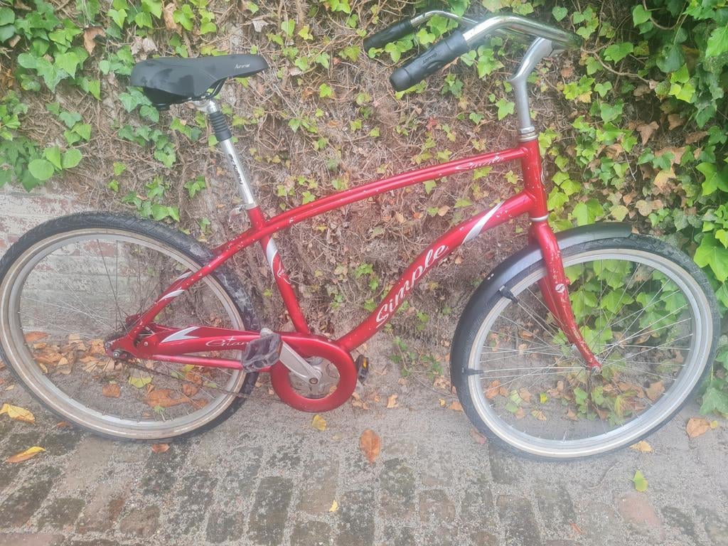 Cruiser, Ophalen of Verzenden, Staal, 24 inch of meer