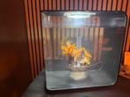 Biorb aquarium 30 liter, Dieren en Toebehoren, Ophalen, Gebruikt, Leeg aquarium
