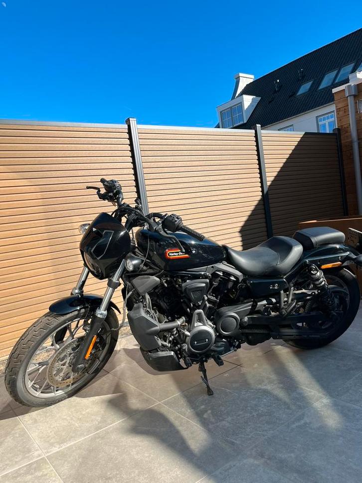 Harley Davidson Nightster RH975 Special Vivid Black, Motoren, Motoren | Harley-Davidson, Particulier, Chopper, meer dan 35 kW