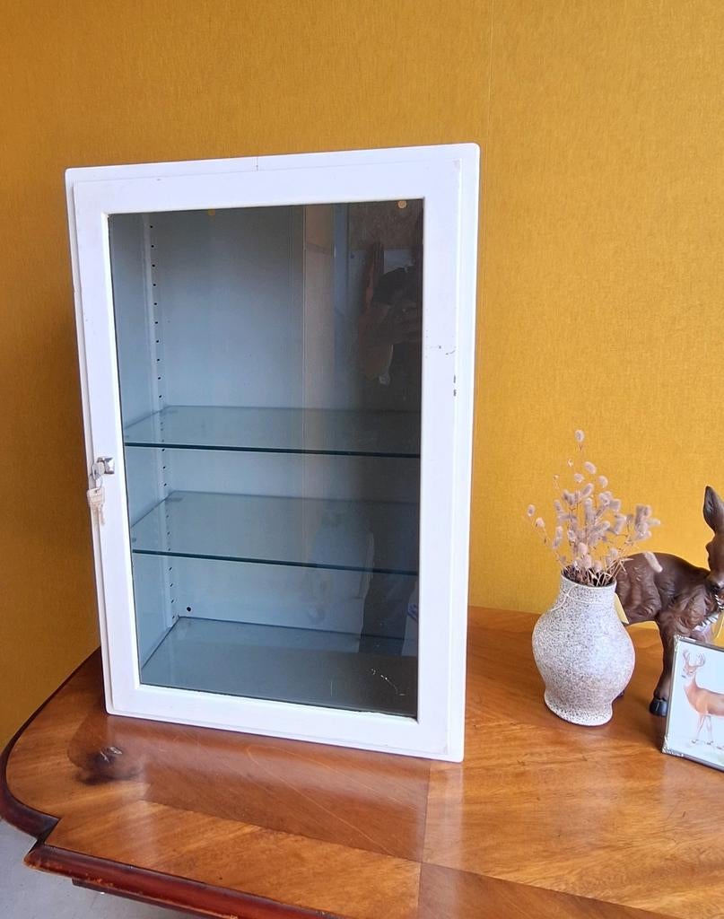 Metalen vintage industriële vitrinekastje, vitrine kast, Huis en Inrichting, Kasten | Lockerkasten, Gebruikt, Ophalen