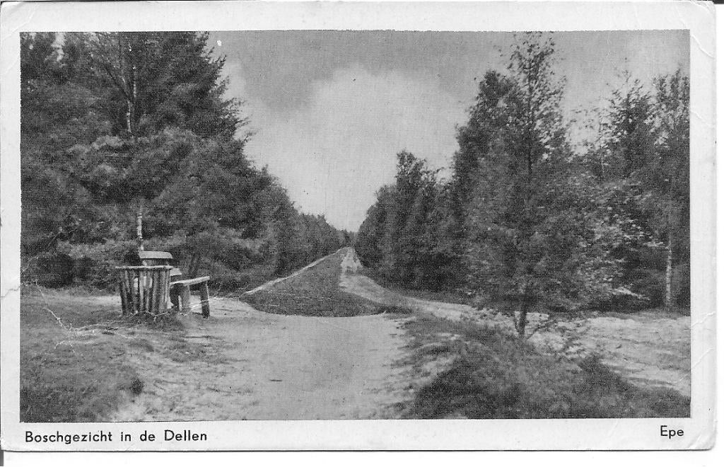 Boschgezicht in de Dellen Epe., Ophalen of Verzenden, 1940 tot 1960, Gelopen, Gelderland