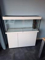 Mooi wit Juwel RIO 240 aquarium; kan bezorgen evt., Dieren en Toebehoren, Vissen | Aquaria en Toebehoren, Ophalen, Gebruikt, Leeg aquarium