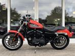 Harley Davidson XL 883R Sportster Roadster, 6.500km!, Motoren, Motoren | Harley-Davidson, Harley-Davidson, Chopper, 2280 AH Rijswijk