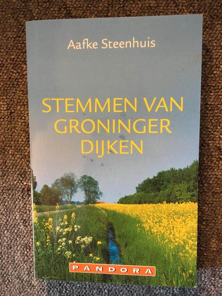 Stemmen van Groninger dijken ; door Aafke Steenhuis, Boeken, Geschiedenis | Stad en Regio, Zo goed als nieuw, Ophalen of Verzenden