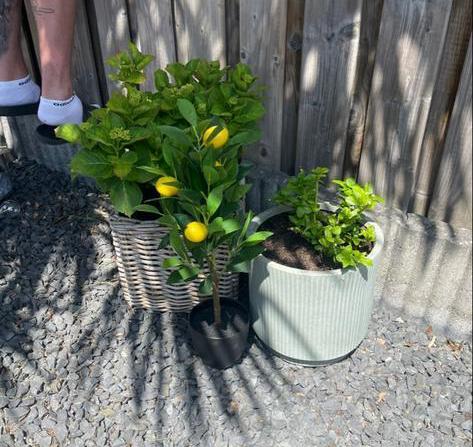 Gratis Antraciet Kiezel - Zelf Ophalen, Tuin en Terras, Grind, Keien en Split, Ophalen, Gebruikt, Antraciet, Grind