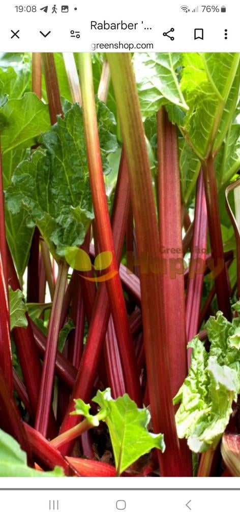 Moestuin gevraagd, Tuin en Terras, Ophalen, Volle zon
