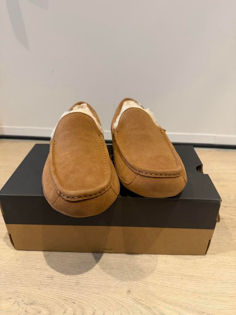 Nieuwe UGG Ascot Pantoffels – Maat 41 – Met doos, Ophalen of Verzenden, Nieuw, Bruin, Pantoffels of Sloffen