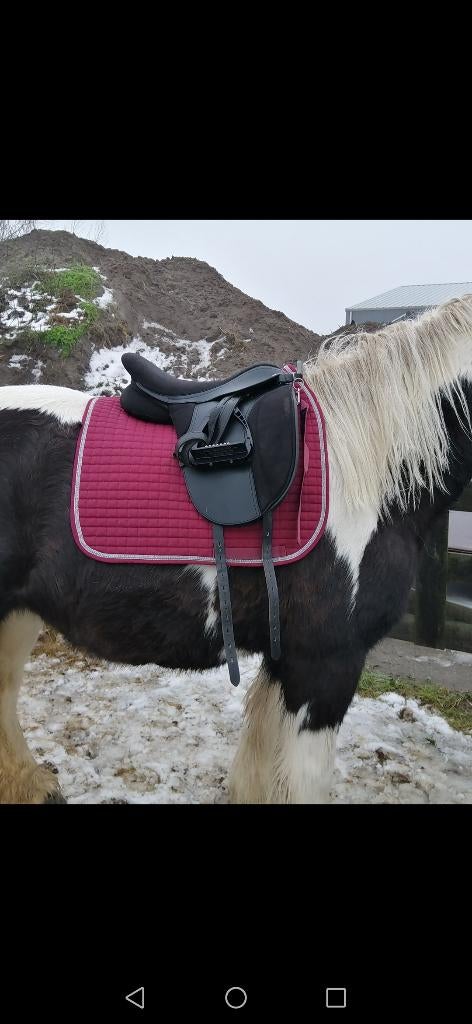 Deken, halster, hoofdstel tinker merrie, Ophalen, Overige soorten