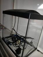 aquarium starterkit, Dieren en Toebehoren, Vis