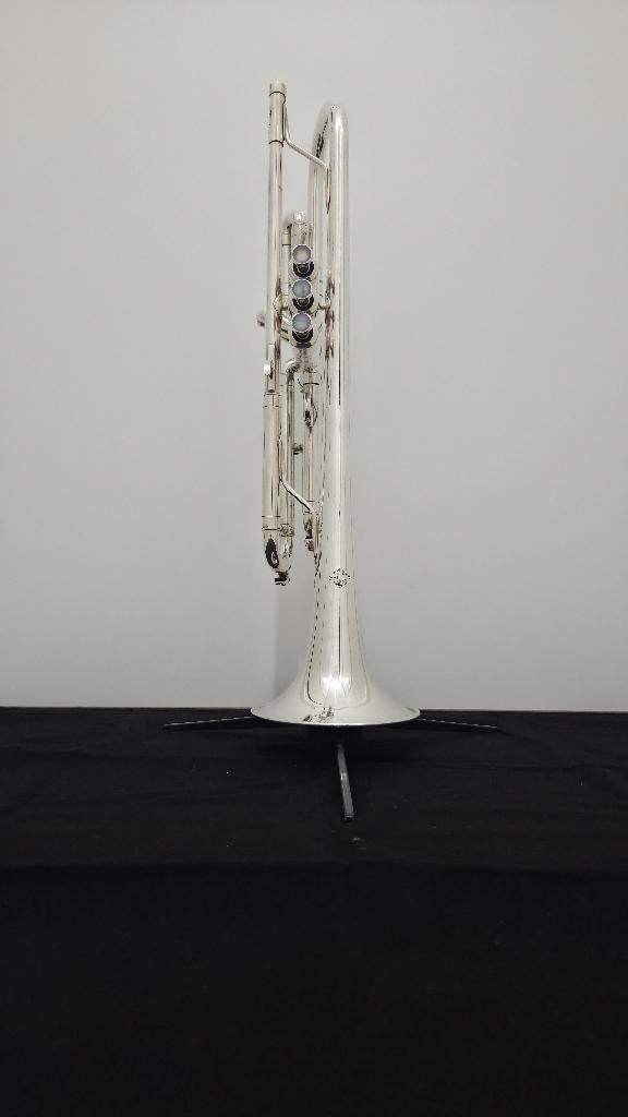 Selmer Sigma, Muziek en Instrumenten, Blaasinstrumenten | Trompetten, Verzenden, Zo goed als nieuw, Bes-trompet