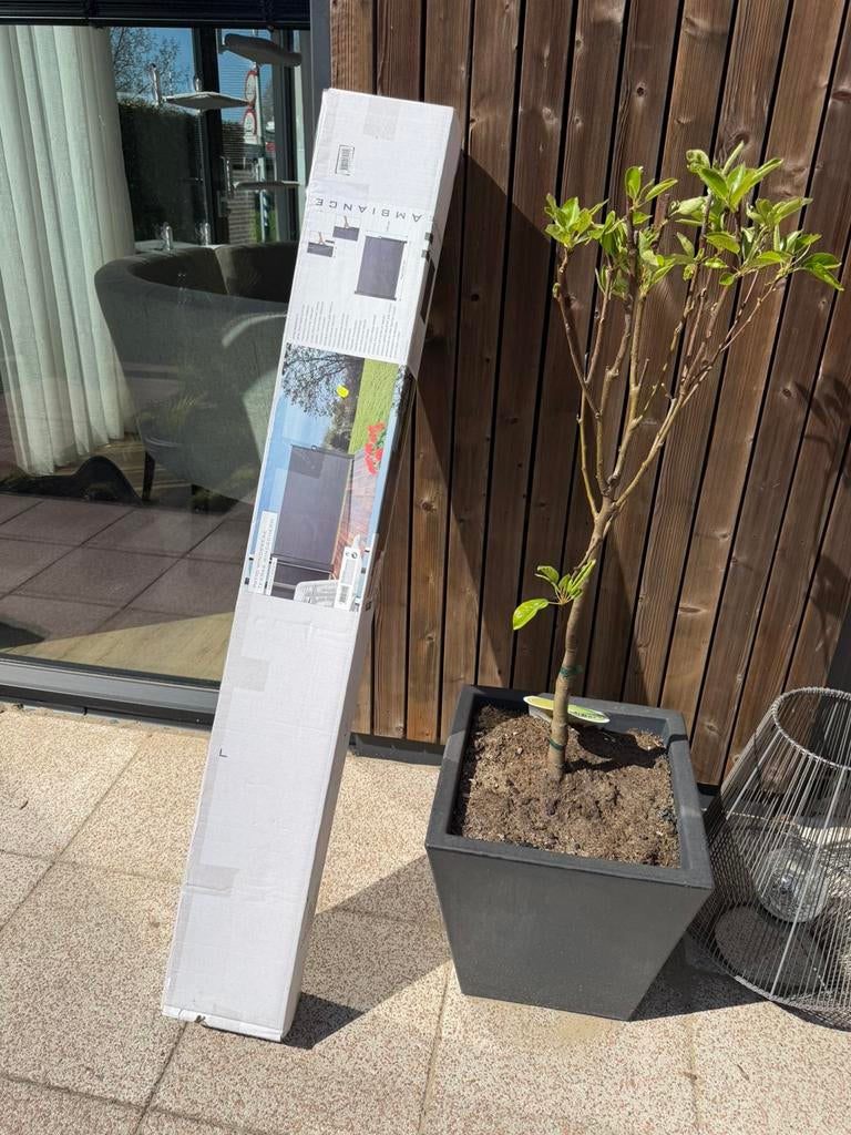 Terras windscherm 300x140cm nieuw in doos, Ophalen, 200 cm of meer, 150 tot 200 cm, Nieuw