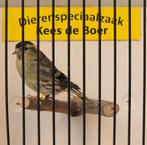 Ivoor Europese sijs man, Dieren en Toebehoren, Mannelijk, Wildzangvogel, Geringd