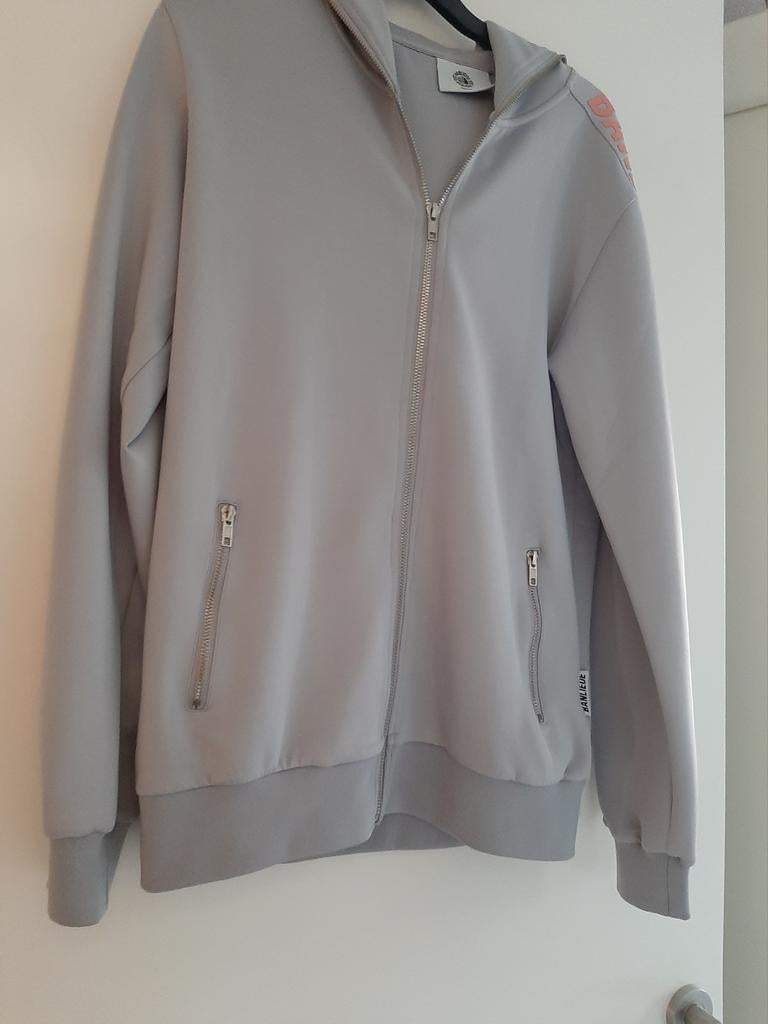 Grijs Banlieue vest maat S, Ophalen of Verzenden, Zo goed als nieuw, Grijs, Maat 46 (S) of kleiner