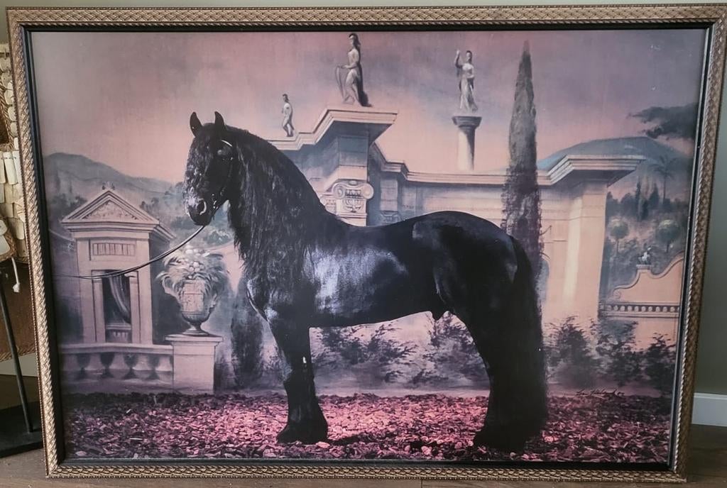 Indrukwekkend Klassieke Ingelijste Prent Friese Hengst, Ophalen