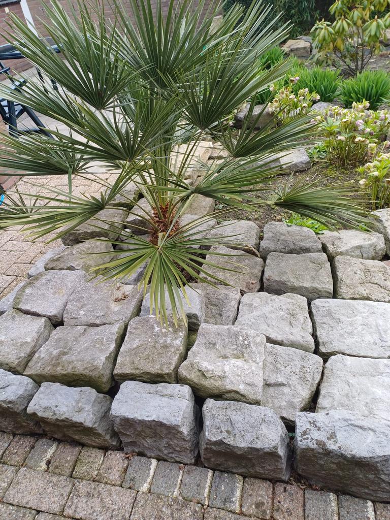 Breukstenen, Ophalen, Gebruikt