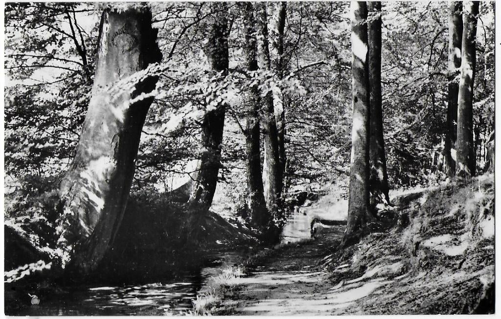 Velp Beekhuizen Oude Gelopen Ansichtkaart ( B1672 ), Ophalen of Verzenden, 1960 tot 1980, Gelopen, Gelderland