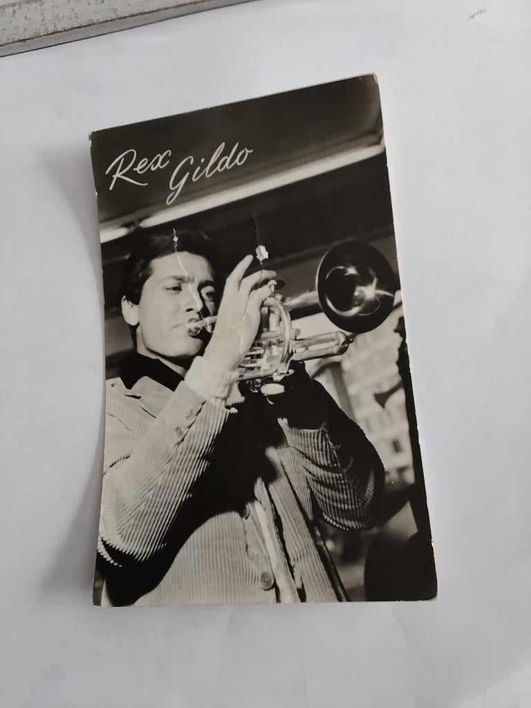 REX GILDO, Verzamelen, Ophalen of Verzenden, Zo goed als nieuw, Foto of Kaart