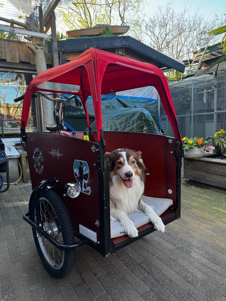 Honden kar.    Luxe Honden vervoer honden trike, Ophalen, Gebruikt, Hondenkar