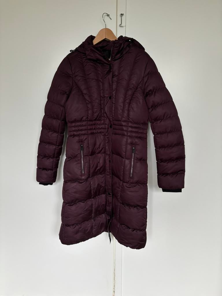 Winterjas Eurostar - maat L, Dieren en Toebehoren, Paardrijkleding, Overige soorten, Ophalen of Verzenden, Zo goed als nieuw, Dames