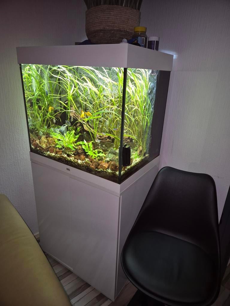 Juwel lido 200 led, Dieren en Toebehoren, Vissen | Aquaria en Toebehoren, Ophalen of Verzenden, Verwarming, Leeg aquarium, Juwel