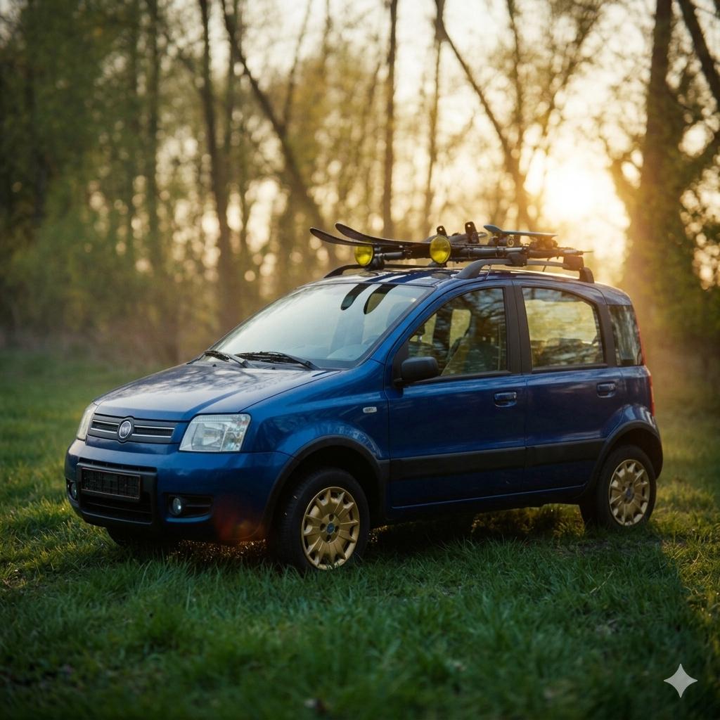 Fiat Panda 1.2  Professionel 4x4 Climbing 2005, Auto's, Fiat, Euro 5, 40 €/maand, Origineel Nederlands, Overige kleuren