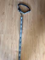 Trixie hondenriem / belt, Dieren en Toebehoren, Hondenriemen, Ophalen, Nieuw