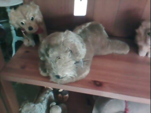 steiff adv 10 hond raudi, Ophalen of Verzenden