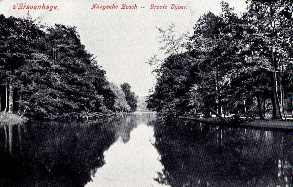 Den Haag – Haagsche Bosch…Groote Vijver., Ophalen of Verzenden, Voor 1920, Ongelopen, Zuid-Holland