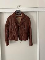 Cognacbruin leren jasje maat 36/S, merk Oakwood., Kleding | Dames, Jasjes, Kostuums en Pakken, Ophalen of Verzenden, Zo goed als nieuw