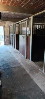 Pensionstal veluwe., Dieren en Toebehoren, Weidegang