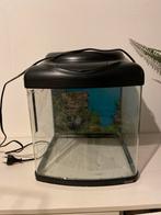 Superfish 40 aquarium met achtergrond poster, Dieren en Toebehoren, Vissen | Aquaria en Toebehoren, Ophalen of Verzenden, Gebruikt
