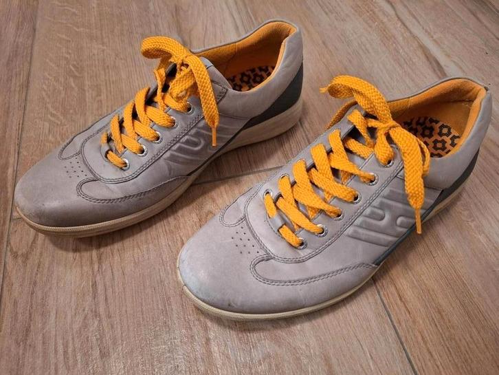 Heren Golfschoenen Maat 43 met nieuwe Nike golfbroek, Kleding | Heren, Schoenen, Nieuw, Overige kleuren, Ophalen of Verzenden