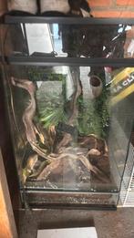Teranium, Dieren en Toebehoren, Reptielen en Amfibieën | Toebehoren, Ophalen, Gebruikt