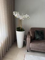 Grote vaas met orchidee, Huis en Inrichting, Ophalen of Verzenden