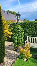 gietijzeren lantaarnpaal, Tuin en Terras, Buitenverlichting, Ophalen, Gebruikt, Staande lamp, Netvoeding