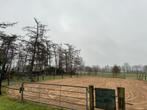 Weidegang paardenbak en stal te huur, Dieren en Toebehoren, Stalling en Weidegang, Weidegang, 2 of 3 paarden of pony's