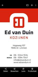 Hardhout kozijn met 2 x dubbele tuindeuren en zijlichten, Ophalen, Nieuw, Buitendeur, Hout