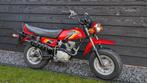 Honda CY50 1983, Maximaal 45 km/u, 49 cc, 5 versnellingen, Ophalen