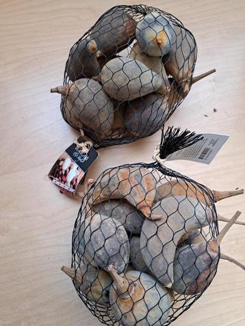 Mini bao bab sierfruit netjes  nieuw beschikbaar voor biedingen