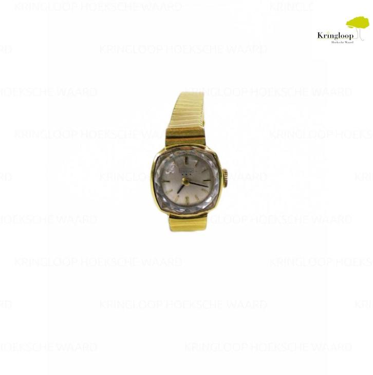 Pontiac polshorloge dames, Sieraden, Tassen en Uiterlijk, Horloges | Dames, Gebruikt, Overige merken, Staal, Ophalen of Verzenden