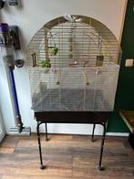 Complete vogelset – gouden kooi + standaard + accessoires, Ophalen, Gebruikt, Metaal, Vogelkooi