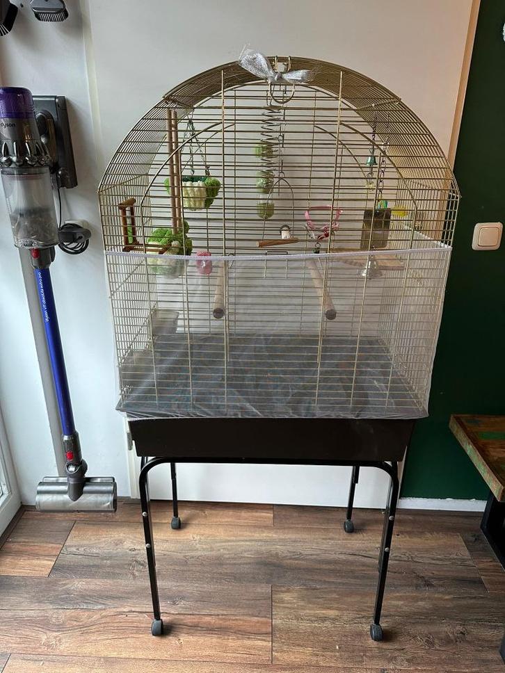 Complete vogelset – gouden kooi + standaard + accessoires, Dieren en Toebehoren, Vogels | Hokken en Kooien, Gebruikt, Vogelkooi