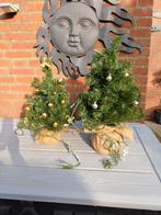 2 kerstboompjes met lampjes., Ophalen of Verzenden