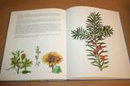Duits boek - De wondere wereld van geneeskrachtige planten, Boeken, Ophalen of Verzenden, Gelezen, Kruiden en Alternatief