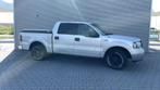 Ford F150 XLT / Crew cab / 2004 / 5.4L V8 LPG, Auto's, Automaat, Euro 5, Achterwielaandrijving, 5400 cc