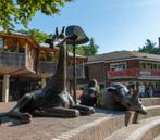 Kortingscode Koninklijke Burger's Zoo Arnhem, Tickets en Kaartjes, Recreatie | Dierentuinen, Kortingskaart