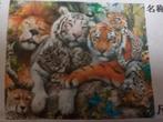 Diamond painting tijger, leeuw en andere 50 x 40 cm vol, Ophalen of Verzenden, Nieuw