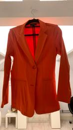 Mi Piace Travel Stof Blazer & Broek Set, Kleding | Dames, Oranje, Ophalen of Verzenden, Zo goed als nieuw, Jasje